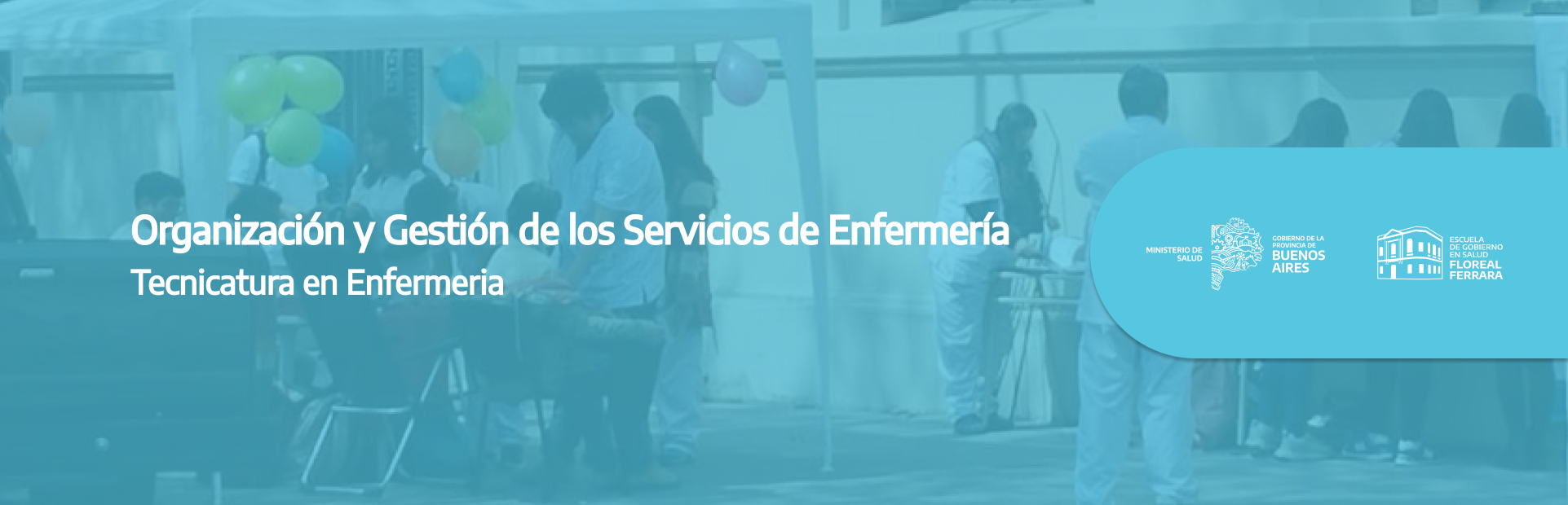 Tec en Enfermeria - Organización y Gestión de los Servicios de Enfermería 