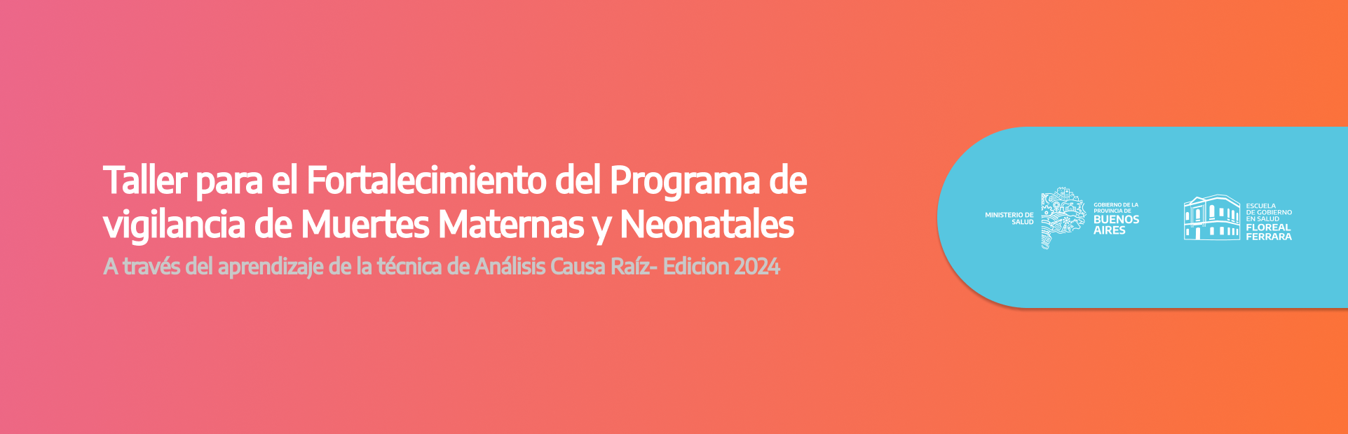 Taller  para el Fortalecimiento del Programa de Vigilancia de Muertes Maternas y Neonatales a través del aprendizaje de la técnica de Análisis Causa Raíz- Edicion 2024