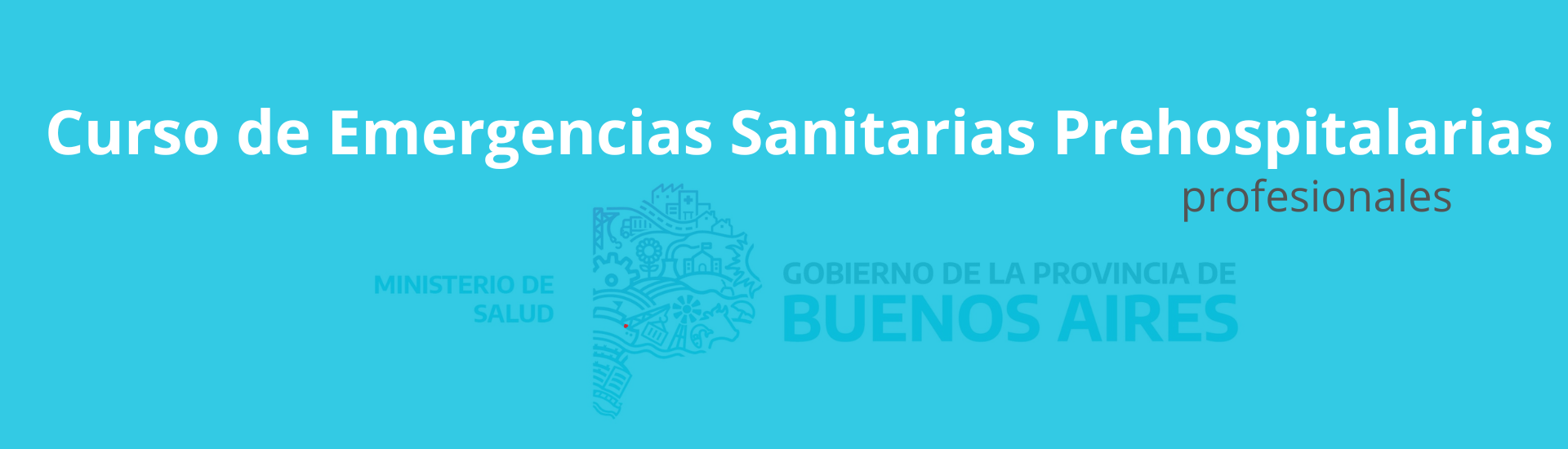 Curso de Emergencias Sanitarias para Profesionales 2024