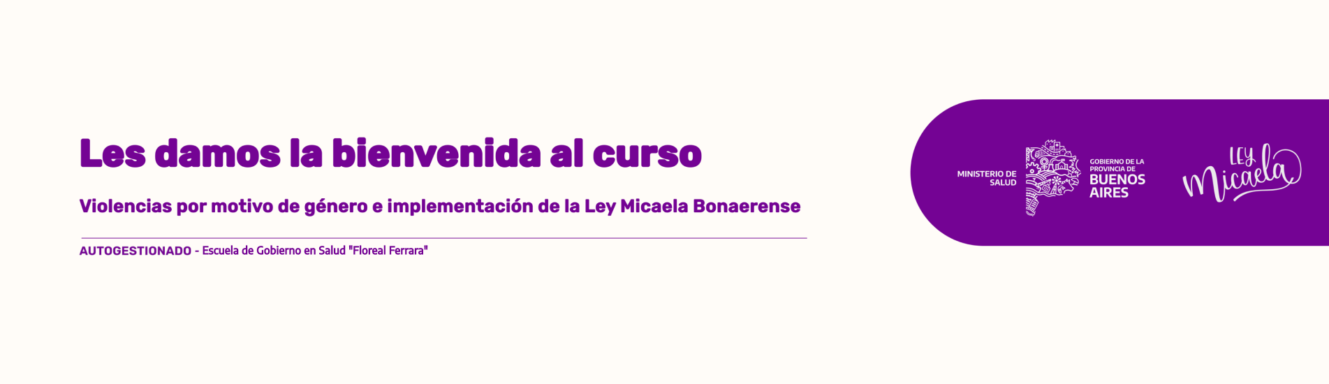 Ley Micaela - Autogestionado Escuela de Gobierno en Salud "Floreal Ferrara" 2025 - 1ra cohorte